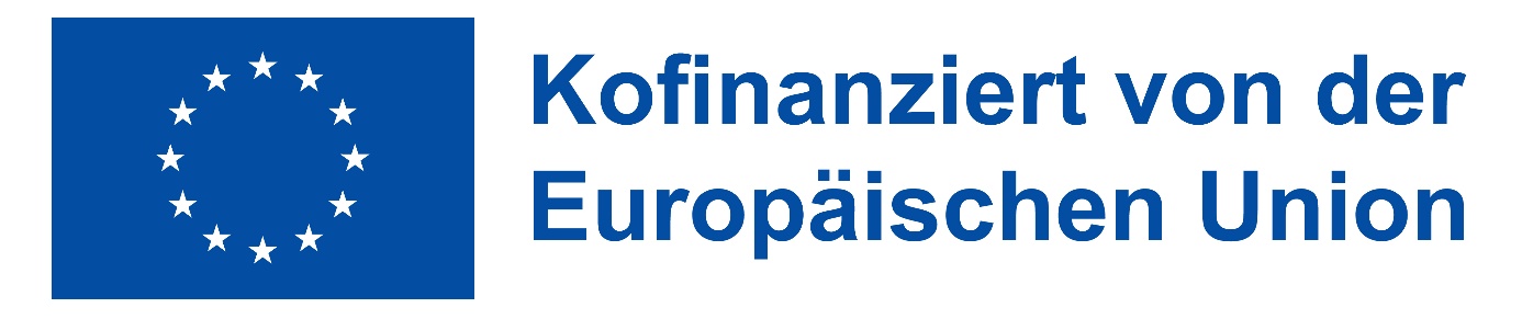25.02.25 Logo Erasmus + mit Europaflagge