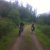 Radtour nach Bad Buchau