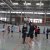 Schüler siegen im Volleyball-Finale